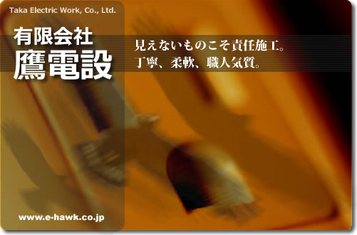 L d
Ȃ̂ӔC{HB
_CJCElCB
www.e-hawk.co.jp
